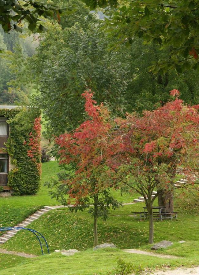 Waldblick Appartement Ober-Hambach Εξωτερικό φωτογραφία