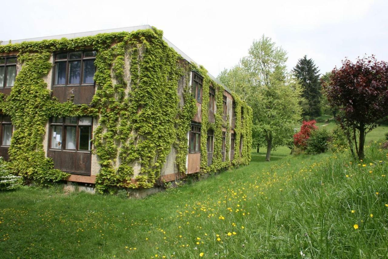 Waldblick Appartement Ober-Hambach Εξωτερικό φωτογραφία