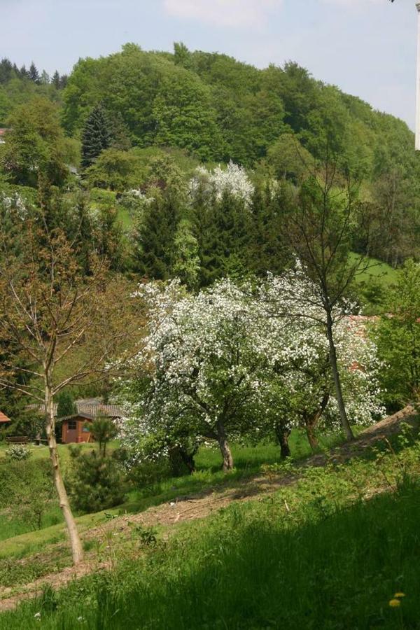 Waldblick Appartement Ober-Hambach Εξωτερικό φωτογραφία